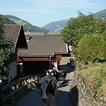 Musikhof Lexer