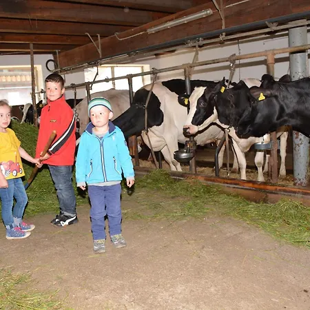 Musikhof Lexer Habitación en casa particular *