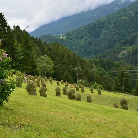 Musikhof Lexer Проживание в семье
