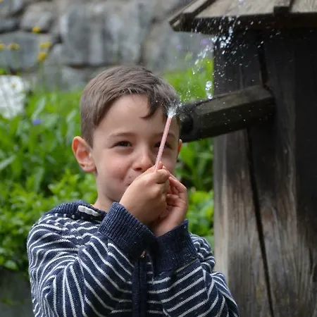 Проживание в семье Musikhof Lexer