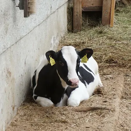 Musikhof Lexer Séjour chez l'habitant