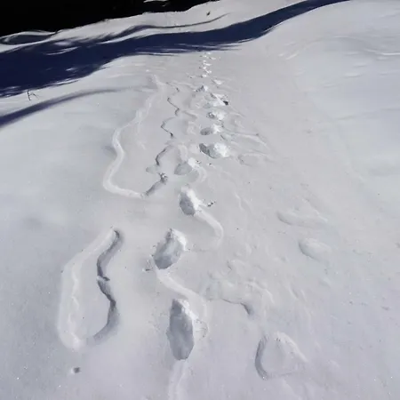 Séjour chez l'habitant Musikhof Lexer Liesing