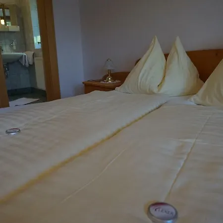 Musikhof Lexer Проживание в семье *