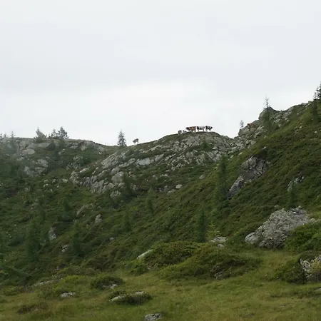 Musikhof Lexer Liesing