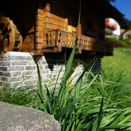 Musikhof Lexer Séjour chez l'habitant *