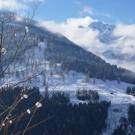 Musikhof Lexer Habitación en casa particular *