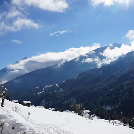 Musikhof Lexer Лизинг