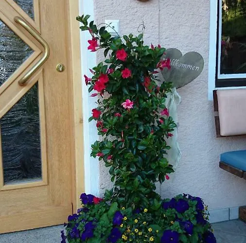 Musikhof Lexer Проживание в семье *