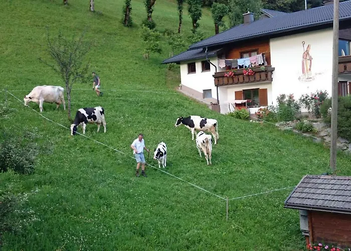 Проживание в семье Musikhof Lexer *