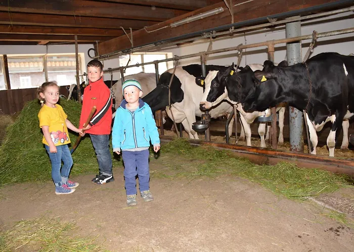 Musikhof Lexer Pansiyon *