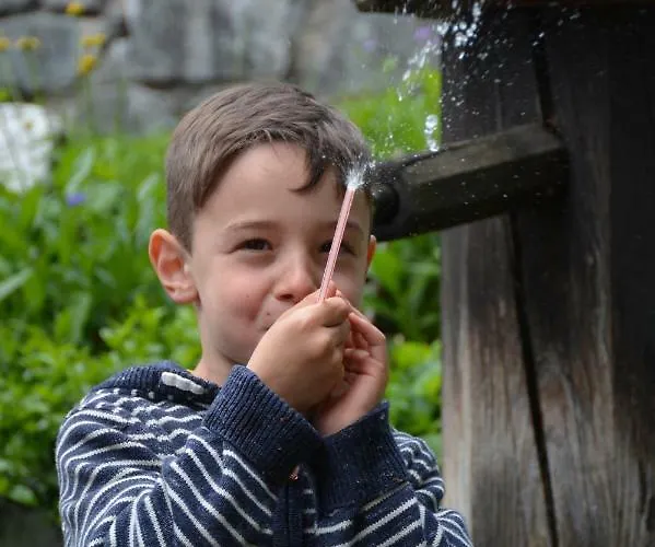 Проживание в семье Musikhof Lexer