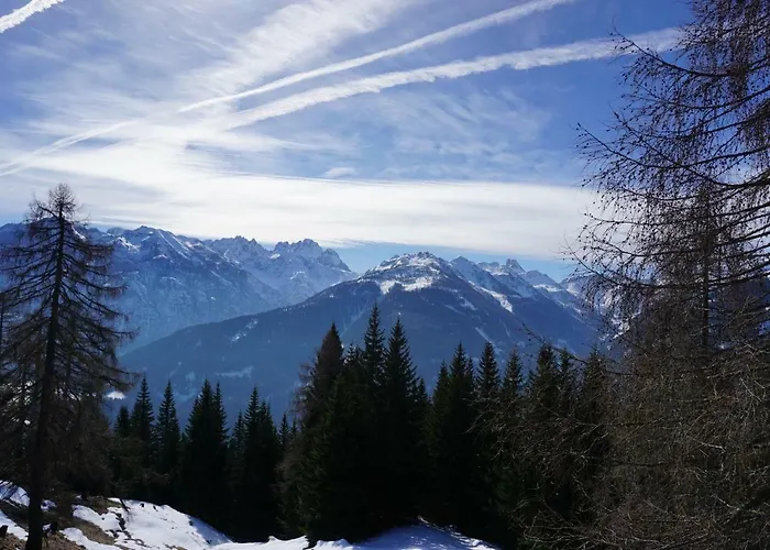 Проживание в семье Musikhof Lexer Лизинг