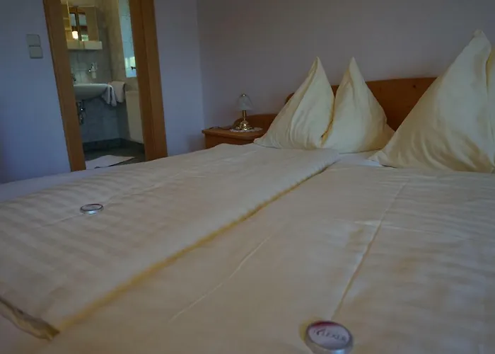 Musikhof Lexer Проживание в семье *