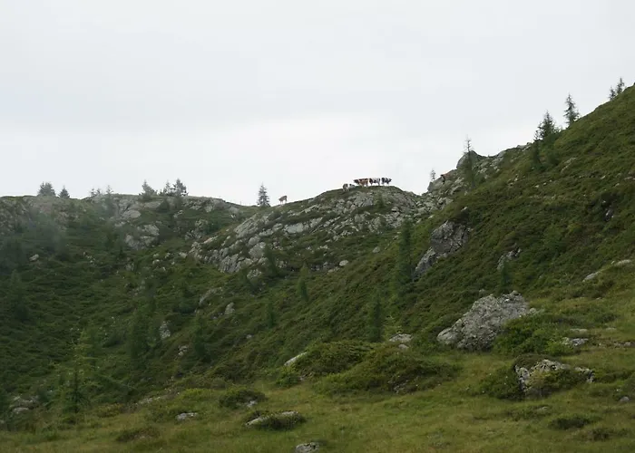 Musikhof Lexer Лизинг