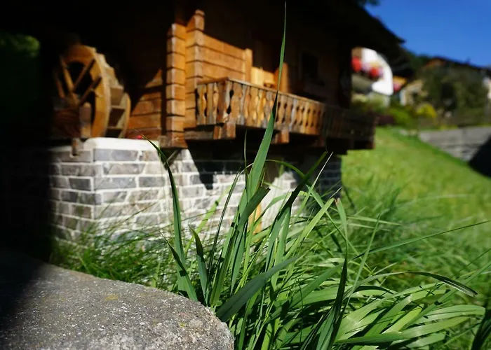 Musikhof Lexer Проживание в семье *