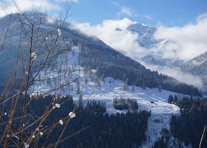 Musikhof Lexer Проживание в семье *