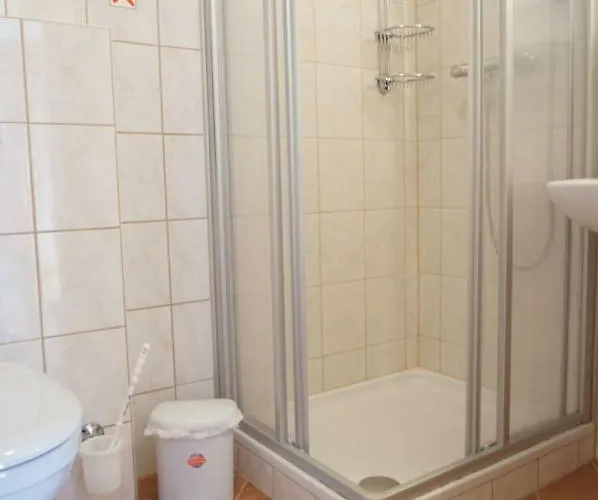 Musikhof Lexer Лизинг