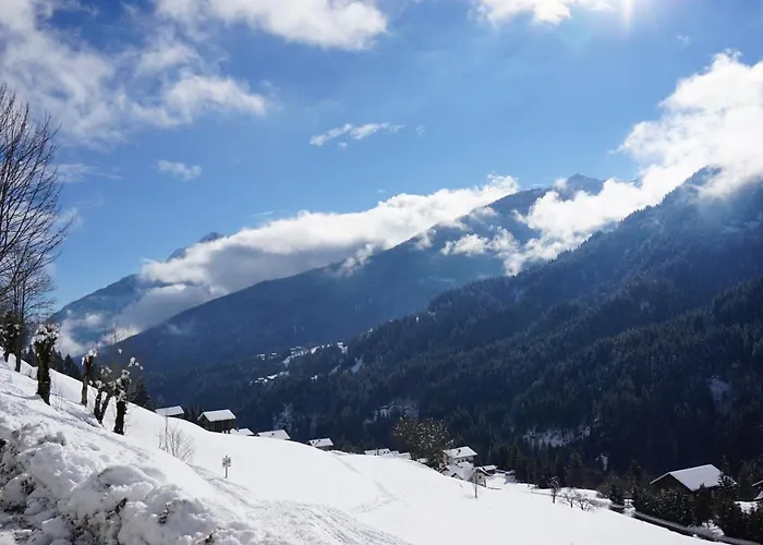 Musikhof Lexer Лизинг